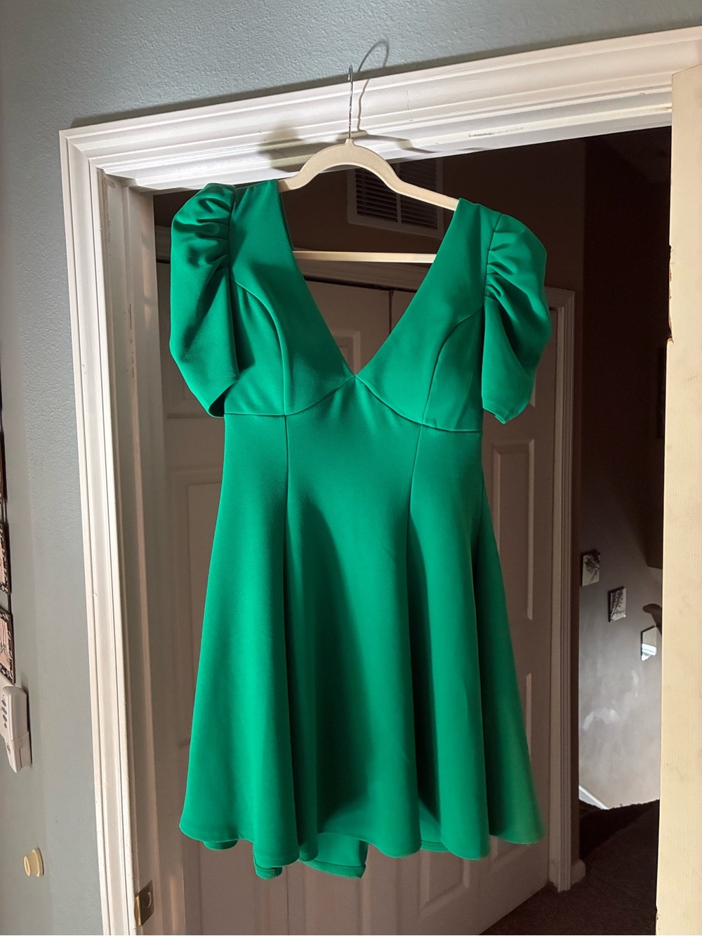 Elegant Green Puff-Sleeve Fit & Flare Dress